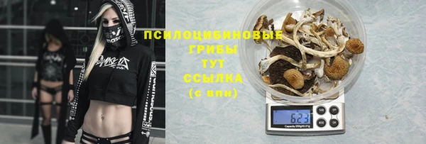 гашик Волосово