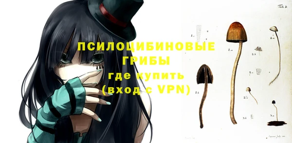 МДПВ Володарск