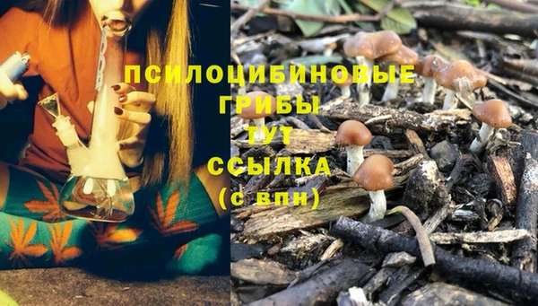 гашик Волосово