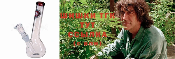 гашик Волосово