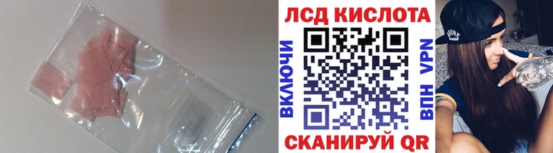 где купить наркоту  Грязовец  Лсд 25 экстази ecstasy 