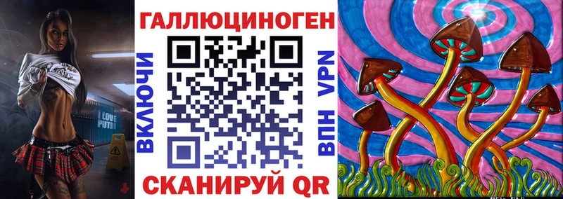 сколько стоит  Грязовец  mega рабочий сайт  Галлюциногенные грибы Psilocybe 
